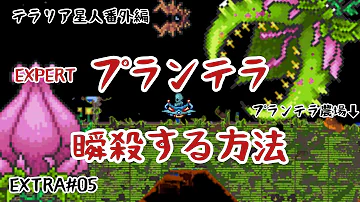 Terraria プランテラ Terraria プランテラ
