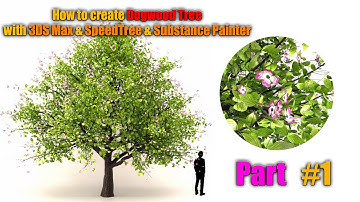 How to create Dogwood Tree with 3ds Max & Corona & SpeedTree & Substance Painter Part #1