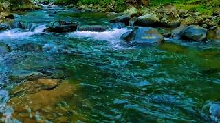 🌊 The Only River Ambient Loop You Need for Anxiety, 8 Hours of Pure Peaceful Sleep Experience