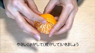 みかんパンティ