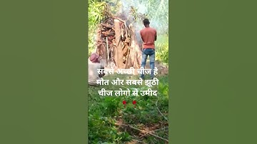 Ye Baat Yaad Rakhna 💔| Maut Status ⚰️| Sad Heart Touching Line 🥀| @Mr iimz Subscribe for More Videos