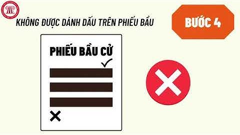 Quy trình bỏ phiếu bầu cử đại biểu Quốc hội, HĐND các cấp