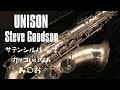 【Unison Steve Goodson Model】実はめっちゃヴィンテージライクな楽器！？こだわりのシグネチャーモデル吹いてみた！
