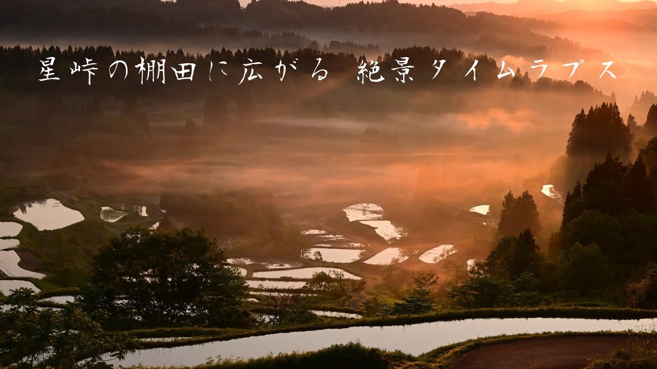 星峠の棚田に広がる 朝靄の日の出 天の川 新潟県十日町市【4K