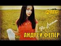 ОЧЕНЬ КРАСИВАЯ ПЕСНЯ ✬ Андрей Фелер - Не Ангелы ✬ ПРЕМЬЕРА 2024