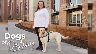 “Game Changer” | Katie Hearn And Guide Dog Jack