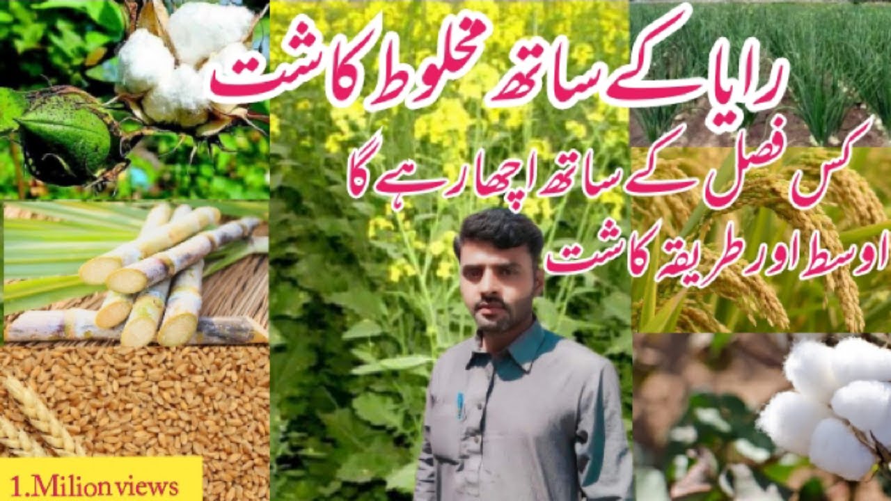 Raya k sath makhlot kasht