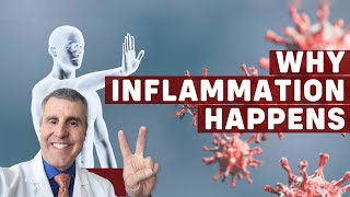 Essentials of Inflammation Ep. 2: The Things That Trigger the Immune System to Generate Inflammation