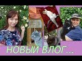 ВЛОГ: КОШАЧЬЯ ЖИЗНЬ, СТРЕСС, ЧТО ДЕЛАТЬ?,СМОТРИТЕ ДО КОНЦА...