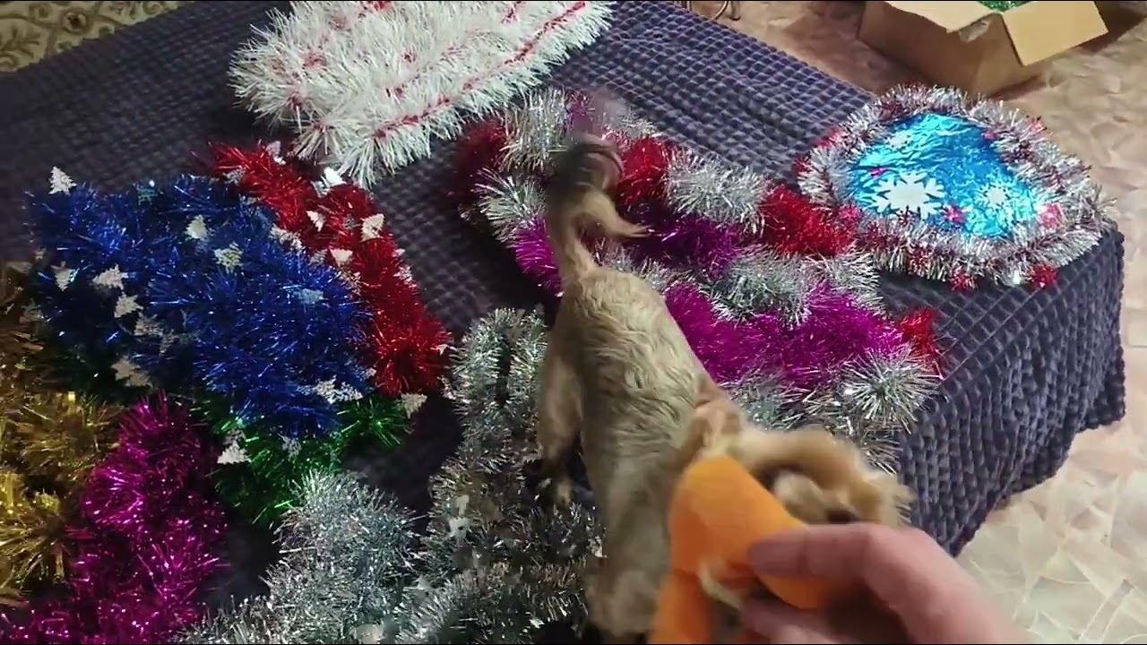 Морозный день , снежные фигуры.