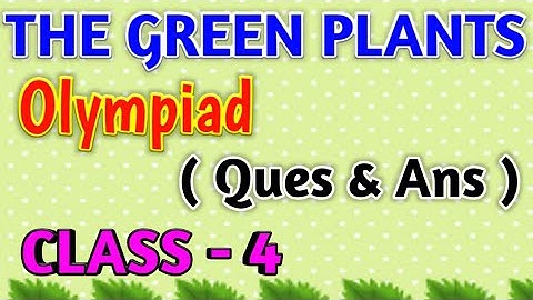 The Green Plant, Class-4, Ques & Ans, SCIENCE Olympiad