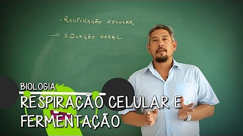 O que são as mitocôndrias Brainly?