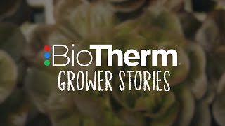 ERFAHRUNGEN AUS DER GÄRTNEREI FOLGE 1 | Michael's Greenhouses
