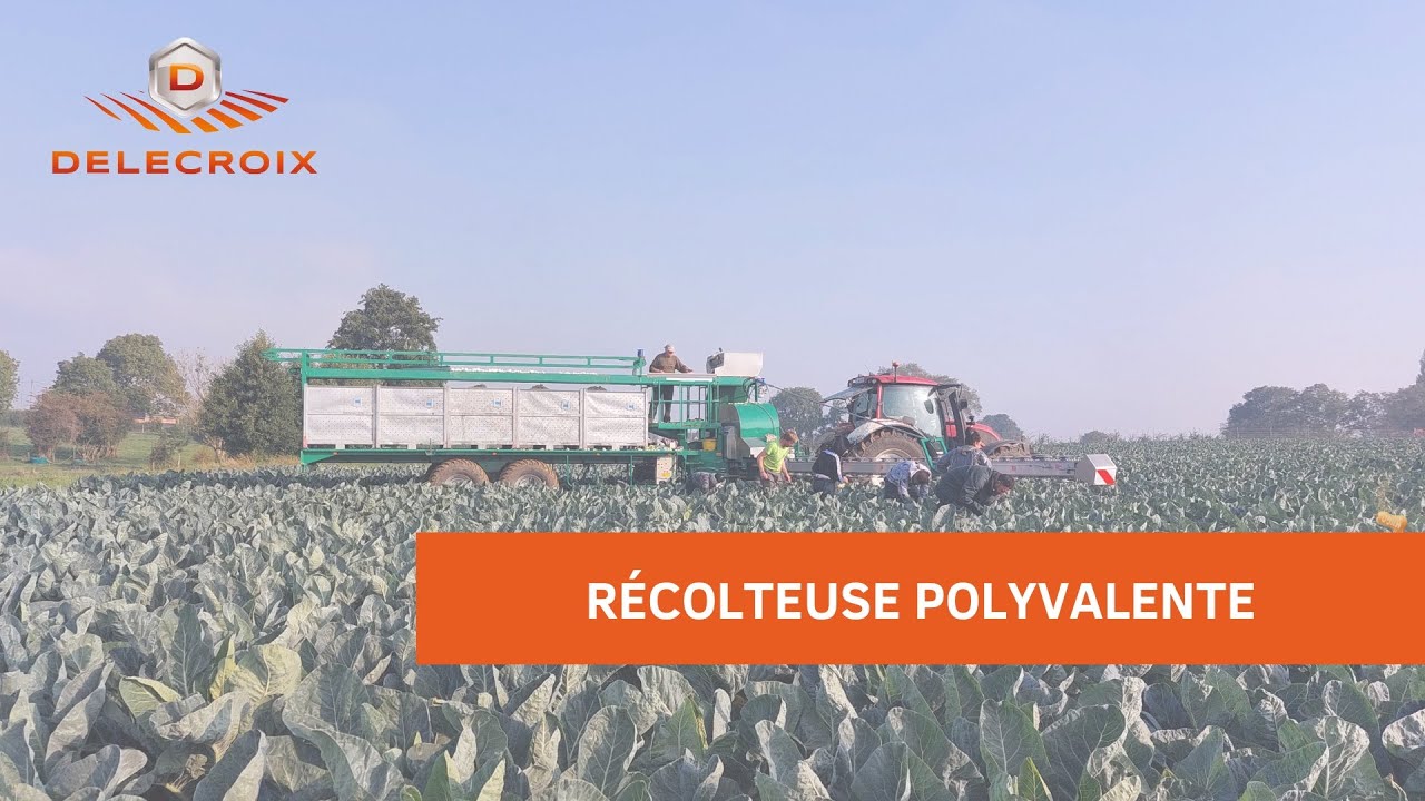 Test récolteuse polyvalente en choux-fleurs 🌱