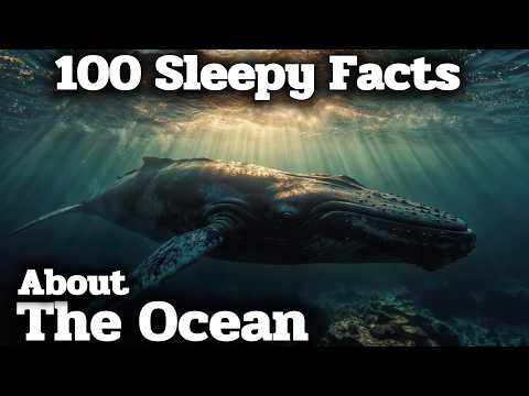 The Most Relaxing Ocean Facts to Fall Asleep To