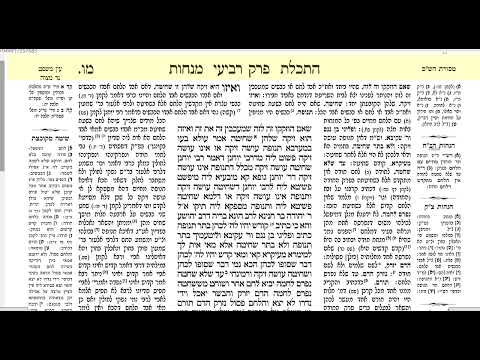 דף היומי מנחות דף מו