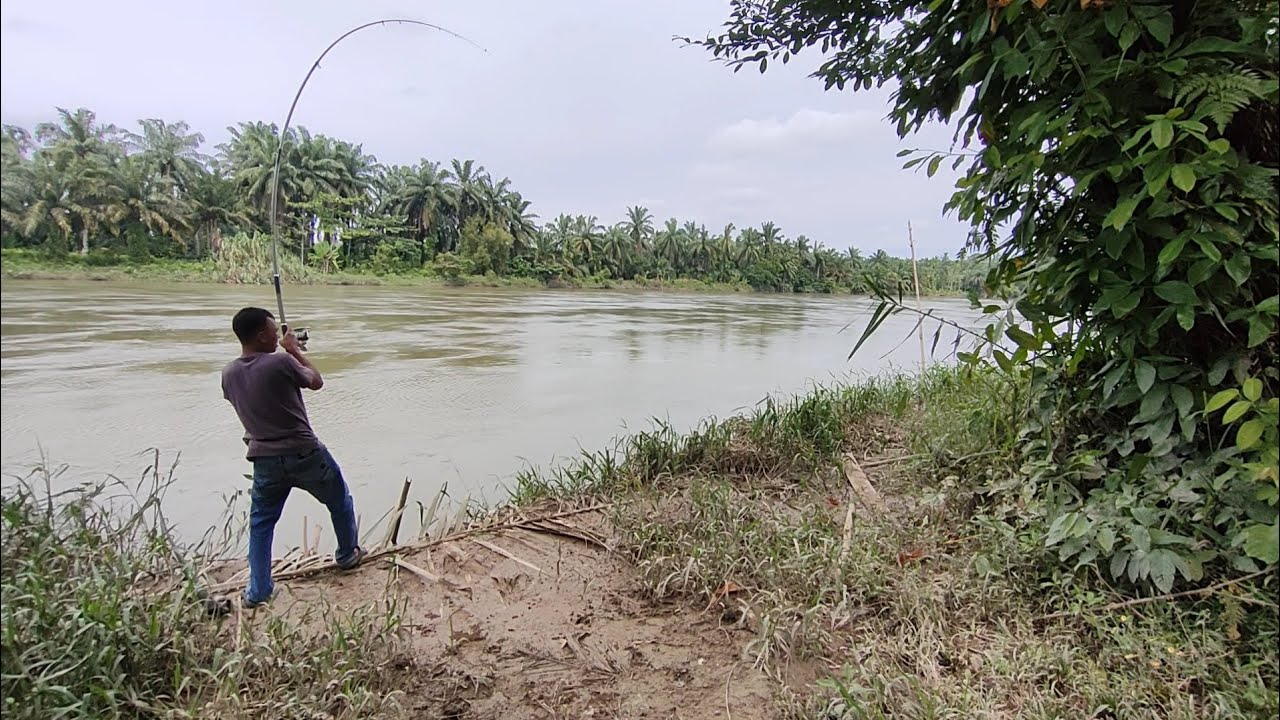 MANCING DI JALAN LINTAS SUMATERA UTARA||SUNGAI ASAHAN STRIKE IKAN BABON