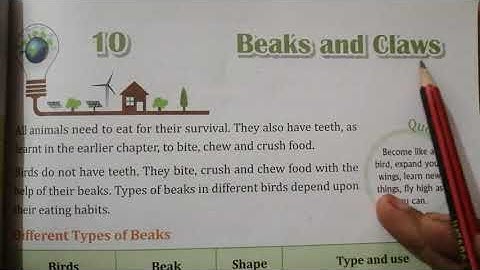 Evs Class-4 Lesson 10 Beaks and Claws