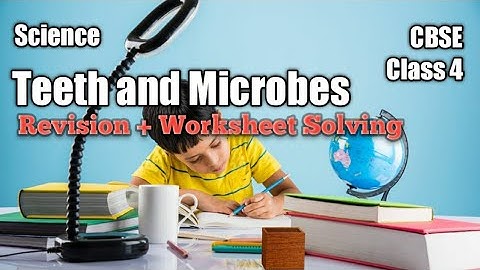 CBSE Class 4 : Teeth and Microbes (Revision + Worksheet Solving)