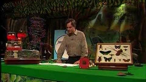 Richard Dawkins - Waking up in the Universe [Part 5-6]