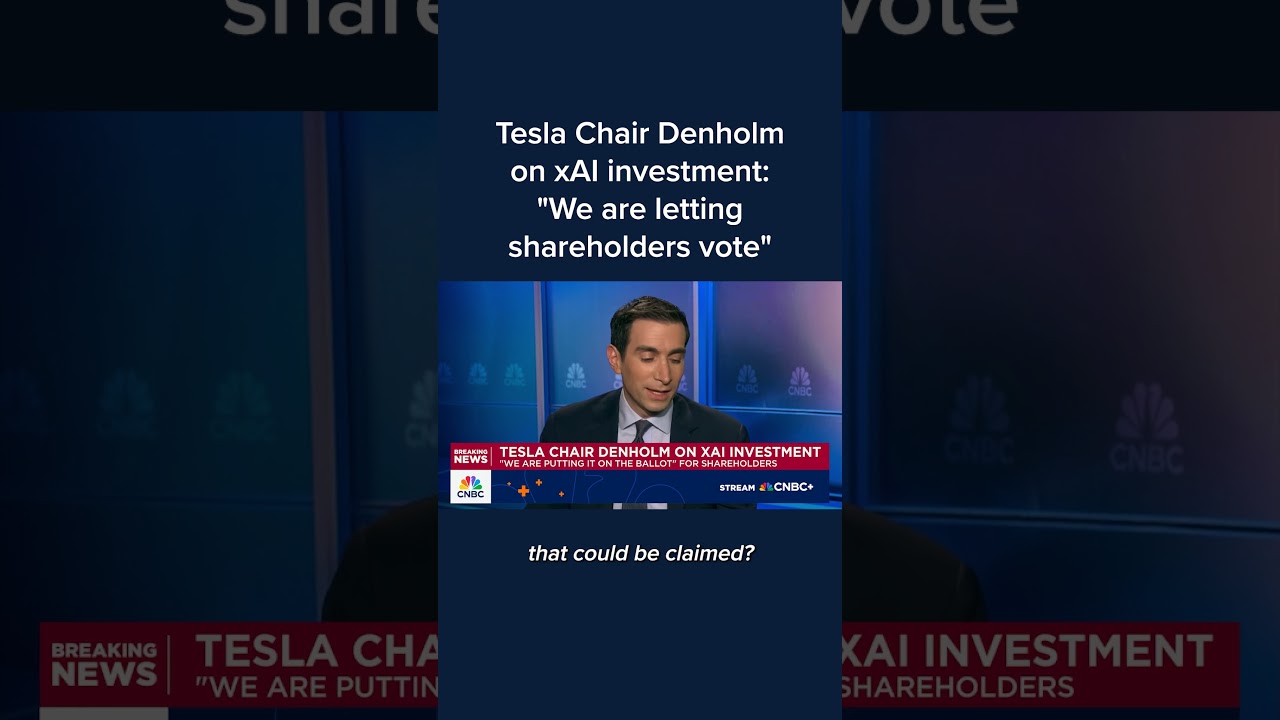 Tesla Chair Denholm on xAI investment: 'We are letting shareholders vote'