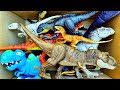 Hunting Jurassic World Dinosaur Toy ASMR Review