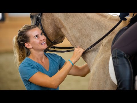 Video: Kruizeris „Olympia“arba JAV kolonijinė praeitis parduodama