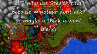 tibia guild pk
