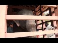 Elephant training centre