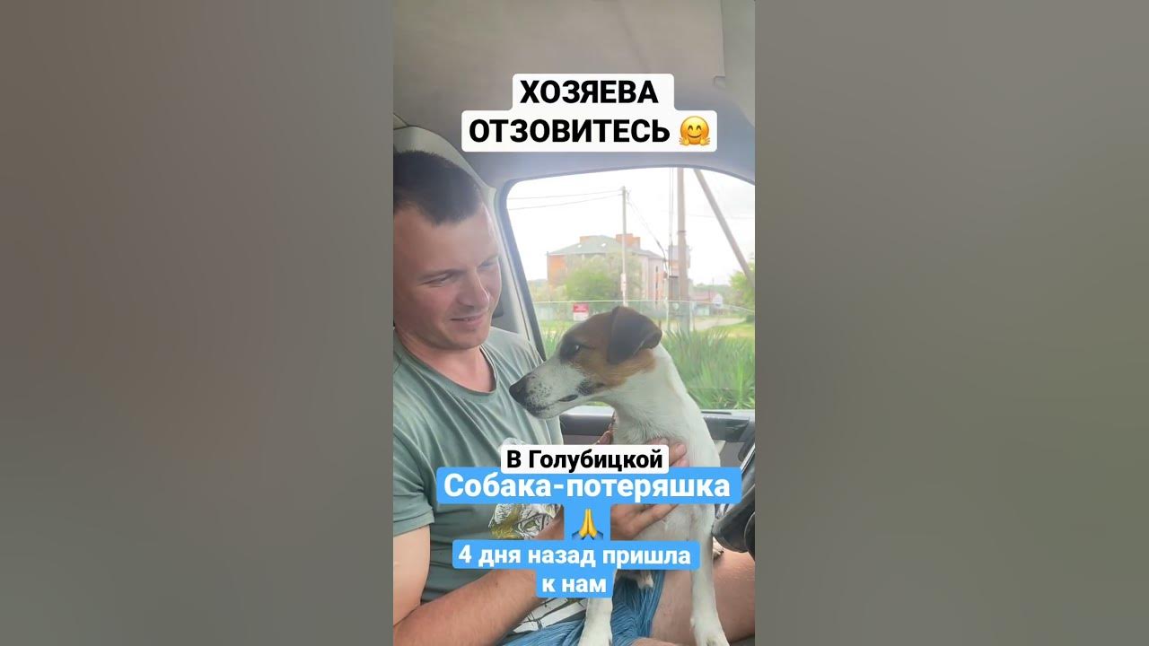 Переехать в николаев