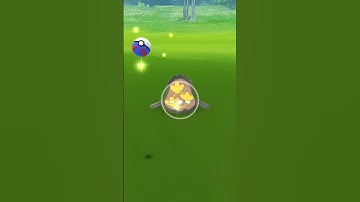 Another Shiny From Field Research Task - Pokemon Go