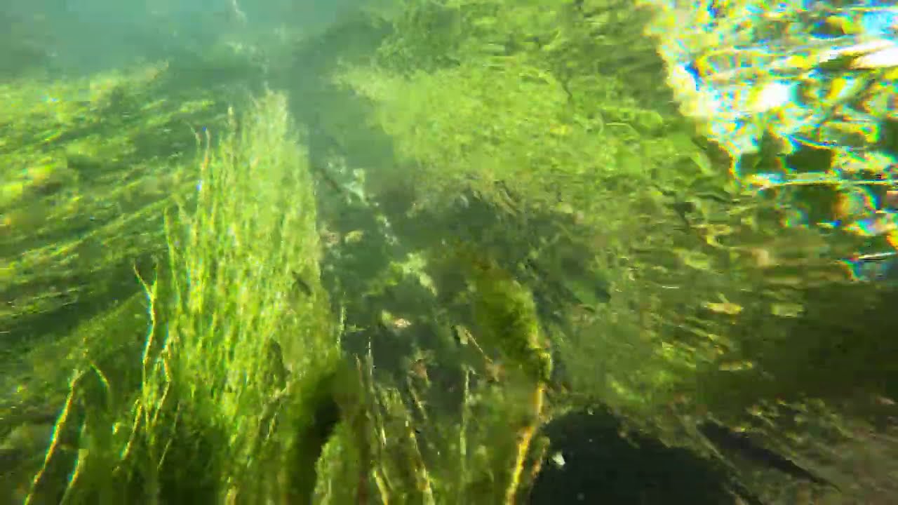 gopro hero 8 underwater settings