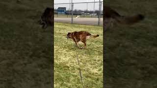 My Last Onewheel Ride With Mac