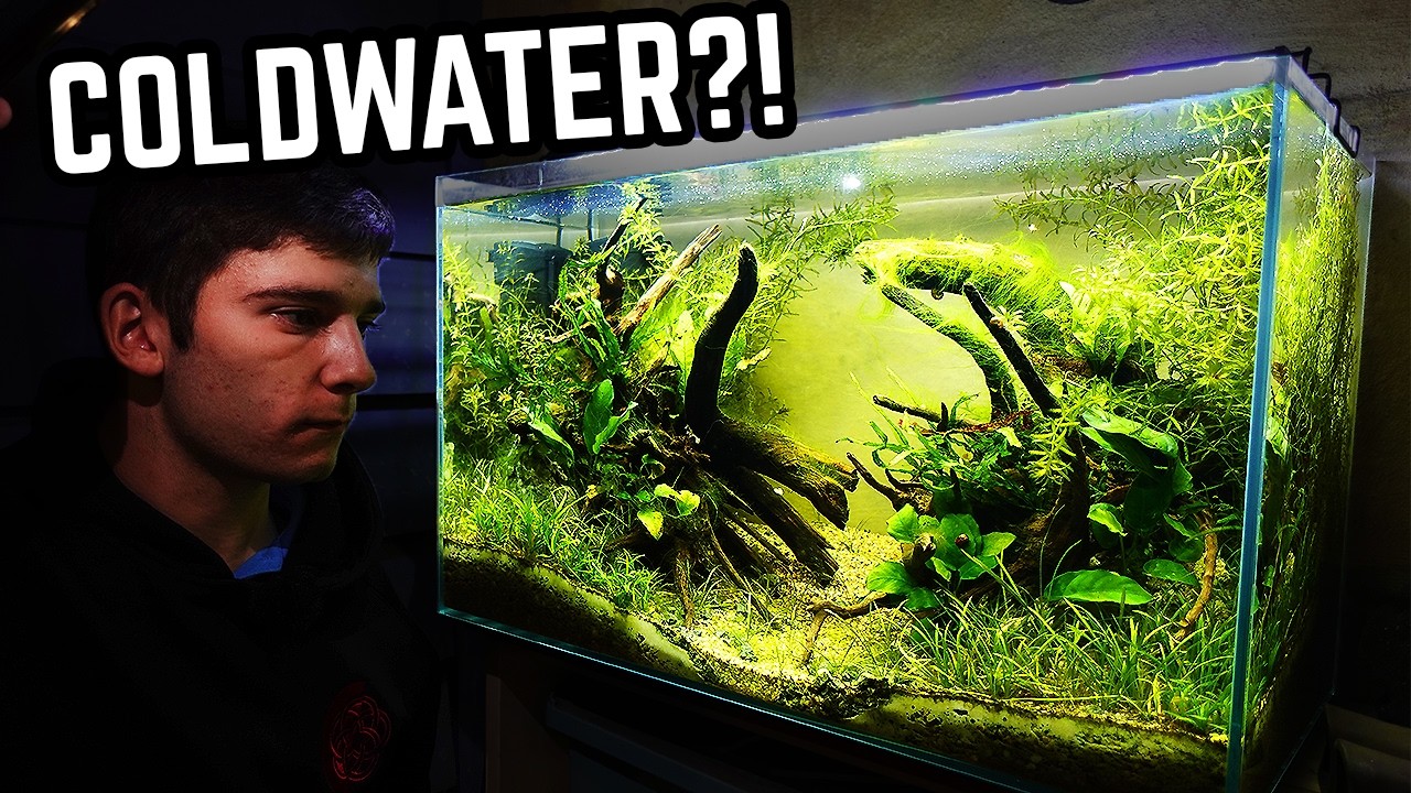 I Risked Everything and Made a Coldwater Aquascape!  (Step by Step)