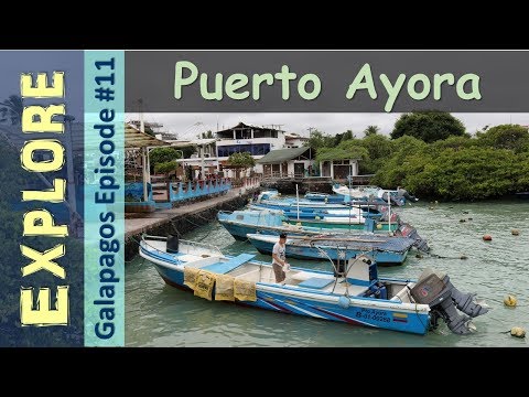 Galapagos Islands: Puerto Ayora