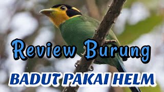 Review Burung Madi Injap