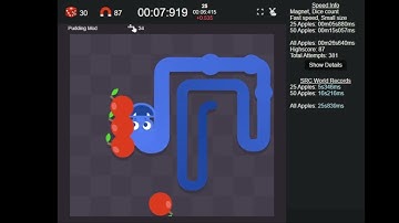 Google Snake World Record - Magnet (Fast) Dice Small 50a - 14s166ms (WR)