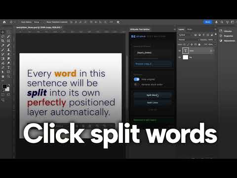 D2studio Text Splitter Plugin Demo