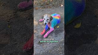 Se aprovecharon del dulce carácter de la perrita