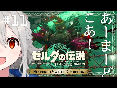 ˗ˋˏ  ゼルダの伝説 ティアーズ オブ ザ キングダム Nintendo Switch 2 Edition 初見プレイ #11  ˎˊ˗