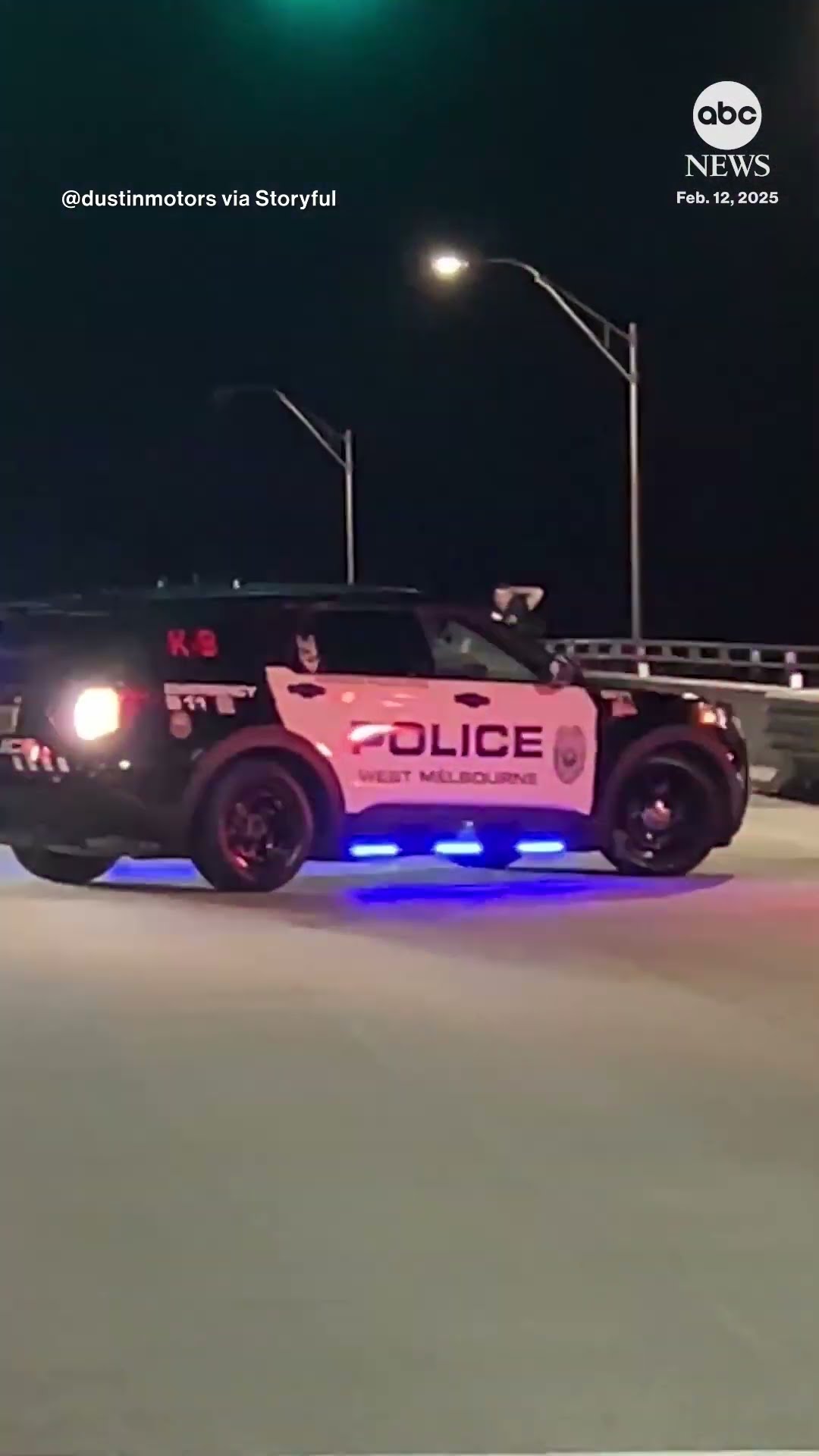 Police try to moo-ve cow away from interstate