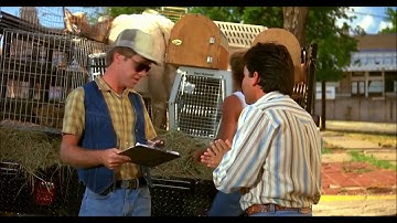 Badgers...badgers? We Don