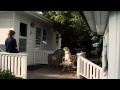 Smitty (Trailer)