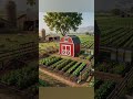 The American farm