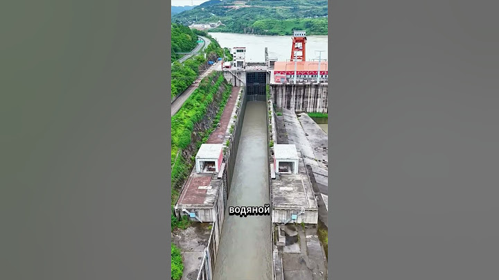 How do ships pass through dams? #facts