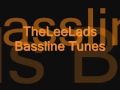 Theleelads bassline tunes came to party nicheorgan