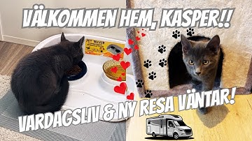 TILLBAKA TILL VARDAGEN - OCH SNART BÖRJAR VÅRT STÖRSTA ÄVENTYR MED HUSBIL TILL VÄRMEN!!