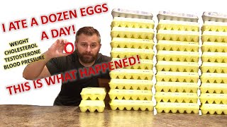 I Ate A Dozen Eggs A Day - Here Is What Happened To My Weight, Cholesterol, Testosterone and More!