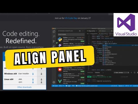 How to Align Panel in Visual Studio Code 2025?