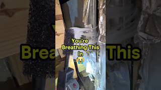 This Air Handler Is Contaminating the Whole House #hvac #homeinspection #hvaclife